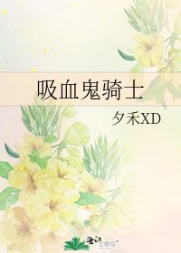 吸血鬼骑士
